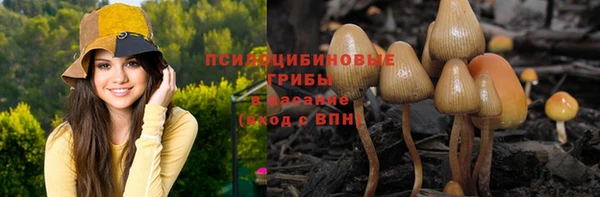 кокаин Белокуриха