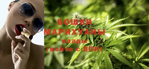 ГАЛЛЮЦИНОГЕННЫЕ ГРИБЫ Белоозёрский