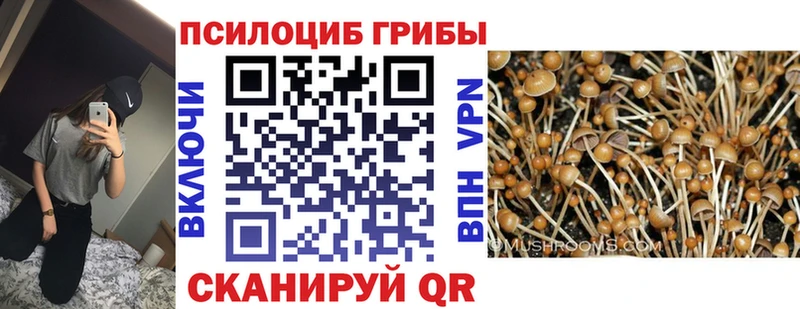 сколько стоит  нарко площадка официальный сайт  Псилоцибиновые грибы Cubensis  Кушва 